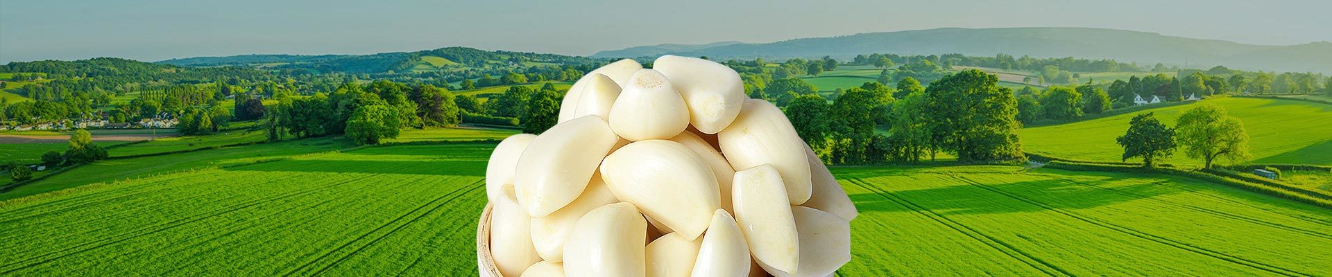 产品中心