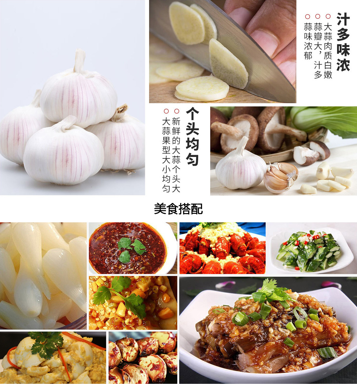guozhiyuan